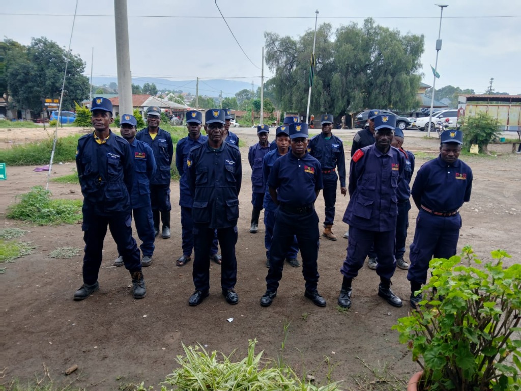 Panic Systems Security Team